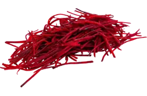 Rode bieten rauw julienne 1mm bulk
